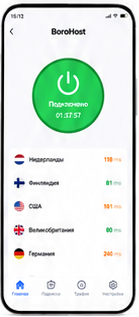 Главный экран BoroHost